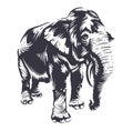 Vector Elephant Art