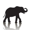 Vector elephant silhouette with shadow Royalty Free Stock Photo