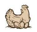 Vector emblem of chicken