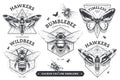 Vector Emblems With Bugs Royalty Free Stock Photo