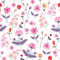 Vector embroidery with cute wild flowers. Ditsay floral seamless pattern on white background Royalty Free Stock Photo