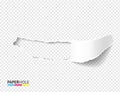 Empty torn paper hole vector banner with scrolled tear off piece on transparent for revealing advert message Royalty Free Stock Photo