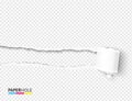Vector empty tear off paper curly scroll and torn hole edges on a transparent background for a sale advertisement banner Royalty Free Stock Photo