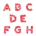 Vector English floral alphabet with flowers
