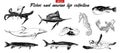 Hand drawn sketch set of fishes and marine life. Isolated on white background. Detailed vintage doodle drawing Royalty Free Stock Photo