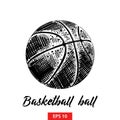 Hand drawn sketch of basketball ball in black isolated on white background. Detailed vintage etching style drawing. Royalty Free Stock Photo