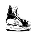 Hand drawn sketch of ice skates in black isolated on white background. Detailed vintage etching style drawing. Royalty Free Stock Photo