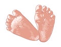 Vector engraved style illustration for posters, decoration and print. Hand drawn sketch of newborn baby foots print isolated on Royalty Free Stock Photo