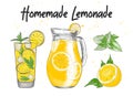 Vector engraved style Lemonade drink, carafe, glass, lemon, mint leaves illustration for posters, decoration, logo and print. Hand