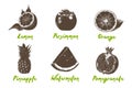 Vector engraved style organic fruits collection for posters, logo, menu, decoration, packaging. Hand drawn colorful sketches Royalty Free Stock Photo