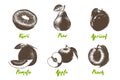 Vector engraved style organic fruits collection for posters, logo, menu, decoration, packaging. Hand drawn colorful sketches Royalty Free Stock Photo