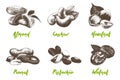 Vector engraved style organic nuts collection for posters, decoration, packaging, menu, logo. Hand drawn monochrome sketches