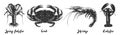 Vector engraved vintage style illustrations of spiny lobster, crab, shrimp, lobster for menu, logo, decoration and emblem. Hand