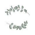 Vector eucalyptus leaves frame on white background with place for your text. Wreath made of leaf branches. Flat lay, top