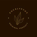 Vector eucalyptus logo design templates and emblem. Beauty and cosmetics oils - eucalyptus. Natural eucalyptus. Logo in linear