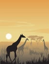 Vector evening landscape illustration Royalty Free Stock Photo