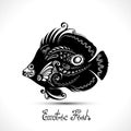 Vector Exotic Fish. Patterned Sea Logo Collection