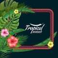 Vector exotic frame with palm leaves and flower with empty copyspace. Flat and solid color style vector illustrartion.