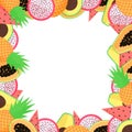 Vector exotic fruit frame with papaya, avocado, pineapple, dragon fruit and watermellon