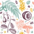 Vector exotic nut seamless pattern. With hand drawn botanical elements - branches, fruits, nuts, leaves, plants drawings. Healthy Royalty Free Stock Photo