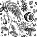 Vector exotic nut seamless pattern. With hand drawn botanical elements - branches, fruits, nuts, leaves, plants drawings. Healthy Royalty Free Stock Photo