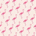 Vector exotic summer seamless pattern with pink flamingos and small polka dots