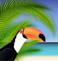 Vector Exotic trip card with palm tree and Toucan