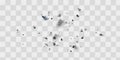 Vector explosion cloud of black pieces isolated on white. Confetti. Vector illustration Royalty Free Stock Photo