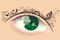 Vector eye with floral eyebrow Royalty Free Stock Photo