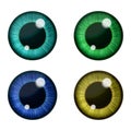 Vector eyes collection. Human pupil Royalty Free Stock Photo