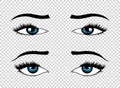 Vector eyes. Hand drawn female luxury eye with perfectly shaped eyebrows and full eyelashes. The perfect look. Health Royalty Free Stock Photo