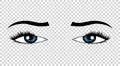 Vector eyes. Hand drawn female luxury eye with perfectly shaped eyebrows and full eyelashes. The perfect look. Health Royalty Free Stock Photo