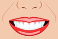 Vector face of girl and smile with ideal teeth for dental, stomatological illustrations