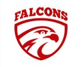 Vector falcon or hawk head sport game play team logo mascot design. American wild eagle abstract beak symbol sign