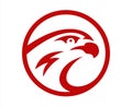 Vector falcon or hawk head sport game play team logo mascot design. American wild eagle abstract beak symbol sign Royalty Free Stock Photo