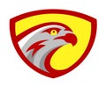 Vector falcon or hawk head sport game play team logo mascot design. American wild eagle abstract bird beak symbol sign Royalty Free Stock Photo
