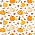 Vector fall season seamless pattern with colorful pumpkins, forest leaves Royalty Free Stock Photo