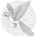 Vector fantasy stylized cockatoo jungle parrot silhouette. Royalty Free Stock Photo