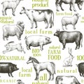 Vector farm animals background. Vintage illustration. Hand drawn animals. Farm seamless pattern.