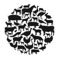 Vector farm animals silhouettes Royalty Free Stock Photo