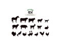 Vector farm animals silhouettes isolated on white.