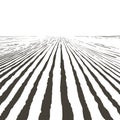 Vector farm field landscape. Furrows pattern in a plowed prepared for crops planting. Vintage realistic engraving sketch