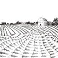 Vector Farm Field Sketch, Hand Drawn Village Outline Illustration, Black and White Royalty Free Stock Photo