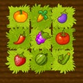 Vector farm game field match 3 with vegetables.