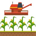 Vector farm harvesting equipment for agriculture and horticulture healthy natural fruits and hand tools Royalty Free Stock Photo