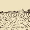 Vector Farm Landscape Etch, Agriculture Scene, Engraving Style Illustration, Hand Drawn Background, Farmers House and Field.