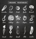 Vector farm vegetables sketches set. Organic products illustration on chalkboard. Hand drawn greens icons for tags etc.