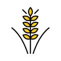 Vector farm wheat ears icon template. Whole grain symbol illustration. Oat growth design concept. Farm agriculture oat sign