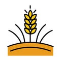Vector farm wheat ears icon template. Whole grain symbol illustration. Oat growth design concept. Farm agriculture oat sign