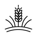Vector farm wheat ears icon template. Whole grain symbol illustration. Simple oat growth design concept. Farm agriculture oat sign Royalty Free Stock Photo